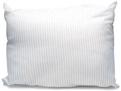The Pillow Company 20" x 26" Standard Size Pillow