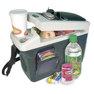Wagan 2296 10.5 Liter Personal Thermo-Electric 12V Fridge/Warmer
