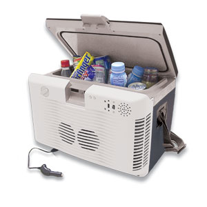 Wagan 2349 10 L Thermo-Electric Fridge/Warmer with Radio 12V DC