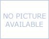 Champion Fuel Filter for Mercedes Engine/Freightliner